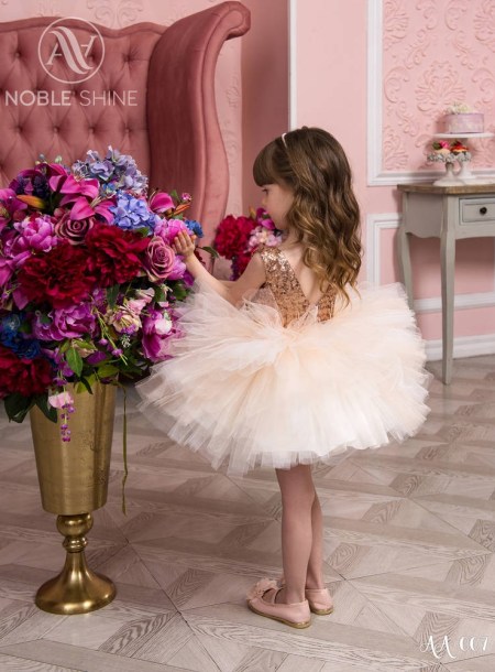 Dress AA-007 from the Princess Dream collection by Noble Shine