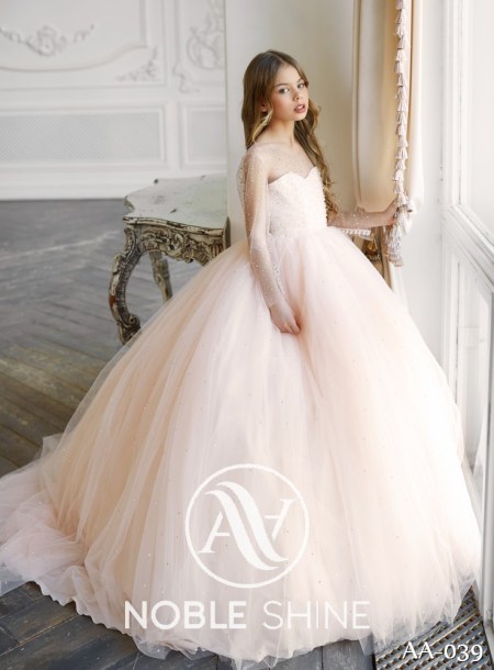 Dress AA-039 from the Shine Bright collection by Noble Shine