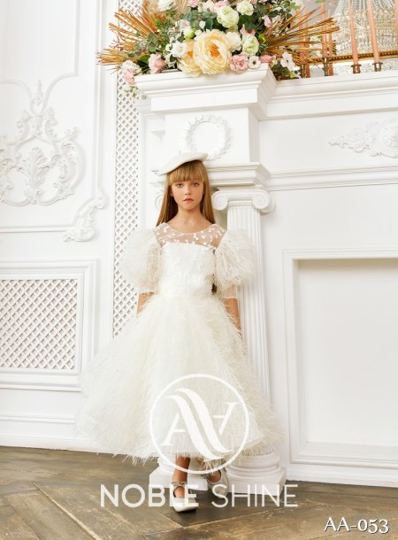 Dress AA-053 from the Shine Bright collection by Noble Shine