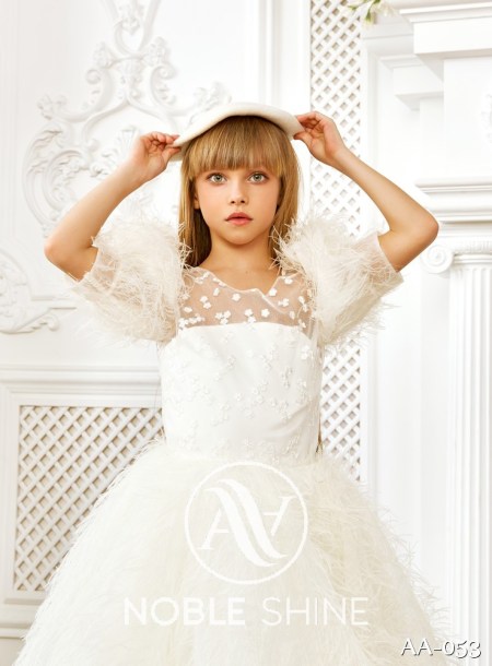 Dress AA-053 from the Shine Bright collection by Noble Shine