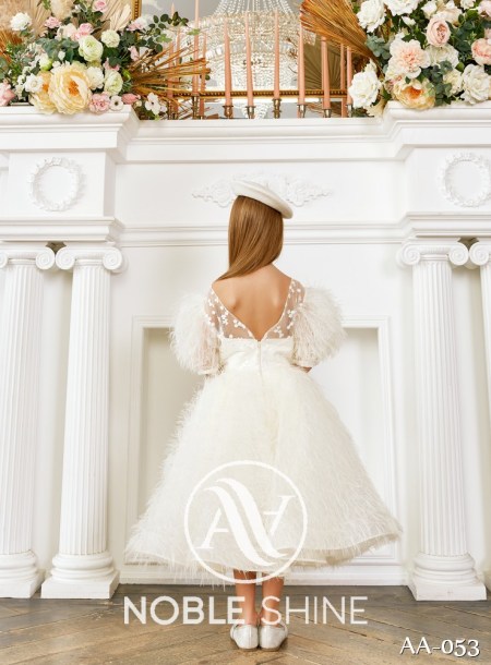 Dress AA-053 from the Shine Bright collection by Noble Shine