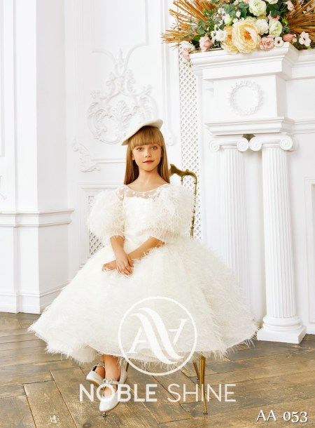 Dress AA-053 from the Shine Bright collection by Noble Shine
