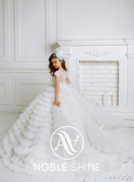 Dress AA-054 from the Shine Bright collection by Noble Shine