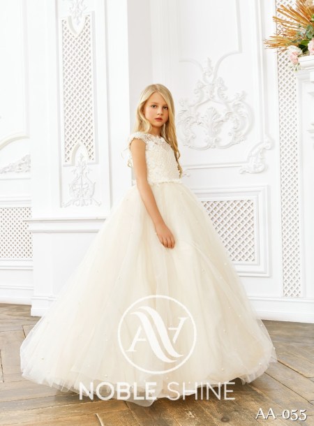 Dress AA-055 from the Shine Bright collection by Noble Shine