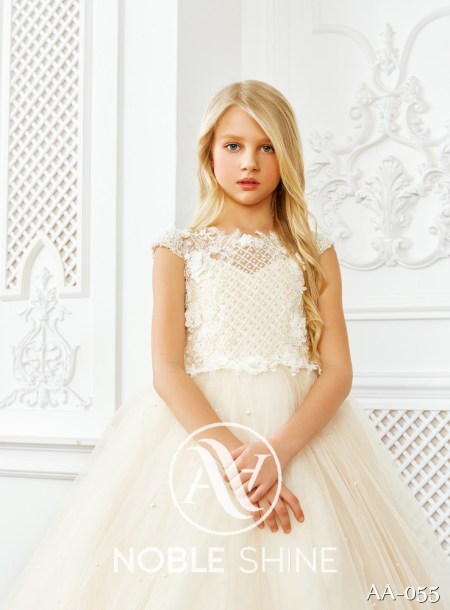 Dress AA-055 from the Shine Bright collection by Noble Shine