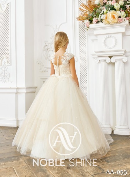 Dress AA-055 from the Shine Bright collection by Noble Shine