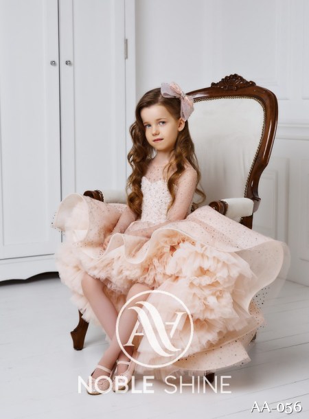 Dress AA-056 from the Shine Bright collection by Noble Shine