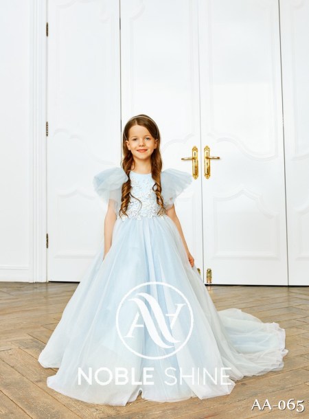 Dress AA-065 from the Shine Bright collection by Noble Shine