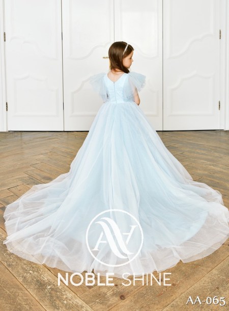 Dress AA-065 from the Shine Bright collection by Noble Shine