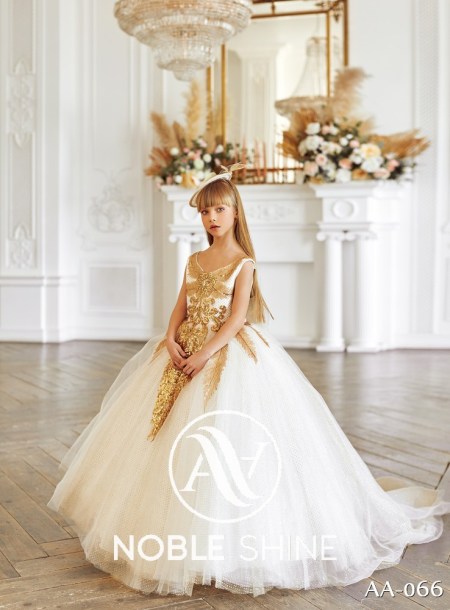 Dress AA-066 from the Shine Bright collection by Noble Shine