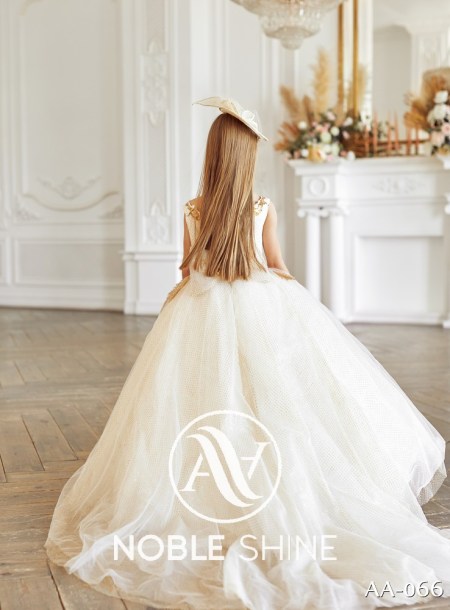 Dress AA-066 from the Shine Bright collection by Noble Shine