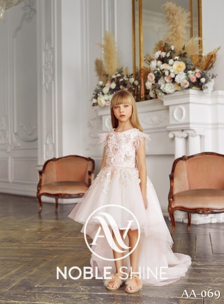 Dress AA-069 from the Shine Bright collection by Noble Shine