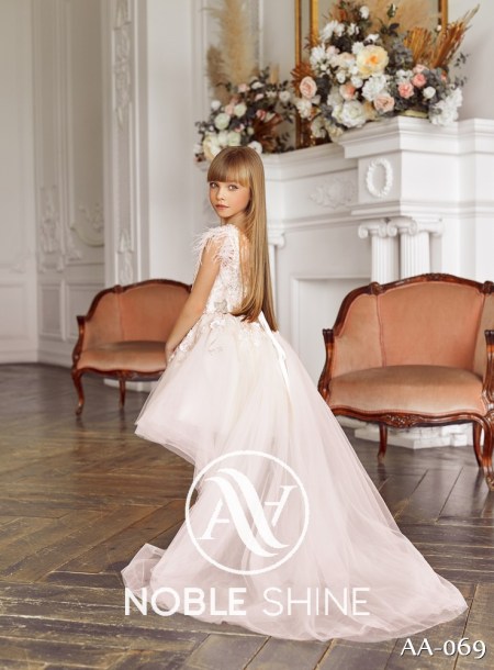 Dress AA-069 from the Shine Bright collection by Noble Shine