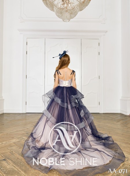 Dress AA-071 from the Shine Bright collection by Noble Shine