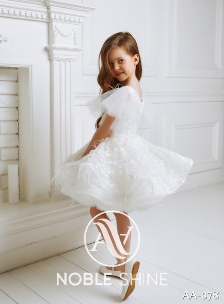 Dress AA-078 from the Shine Bright collection by Noble Shine