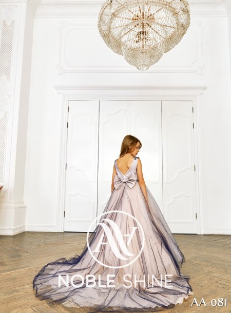 Dress AA-081 from the Shine Bright collection by Noble Shine