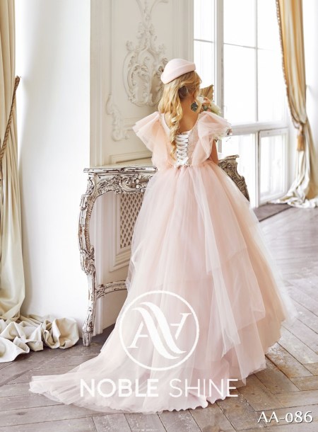 Dress AA-086 from the Shine Bright collection by Noble Shine
