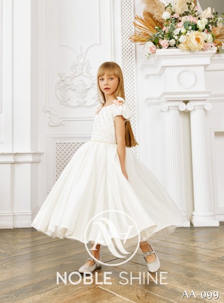 Dress AA-099 from the Shine Bright collection by Noble Shine
