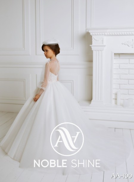 Dress AA-100 from the Shine Bright collection by Noble Shine