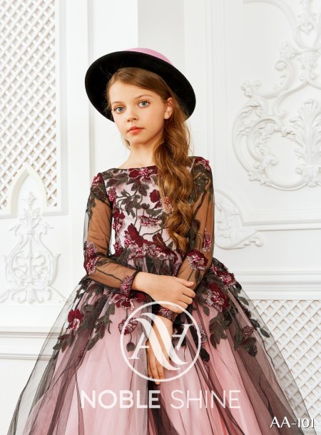 Dress AA-101 from the Shine Bright collection by Noble Shine