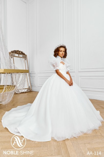 Dress AA-114 from the Royal Flowers collection by Noble Shine