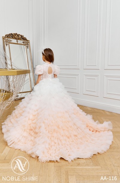 Dress AA-116 from the Royal Flowers collection by Noble Shine