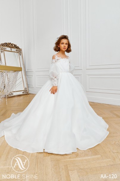 Dress AA-120 from the Royal Flowers collection by Noble Shine