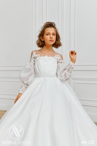 Dress AA-120 from the Royal Flowers collection by Noble Shine