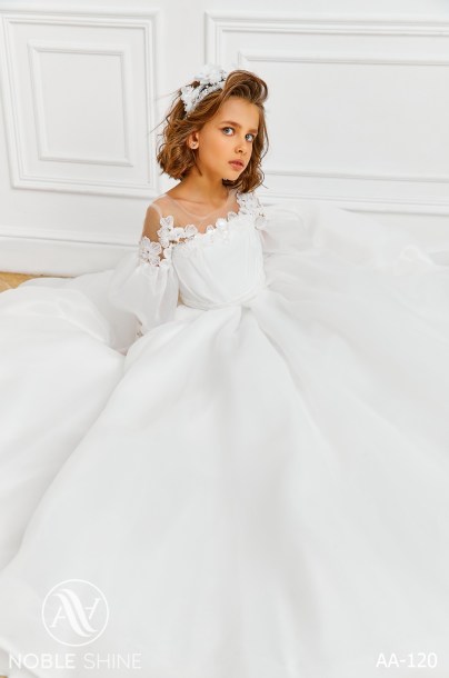 Dress AA-120 from the Royal Flowers collection by Noble Shine