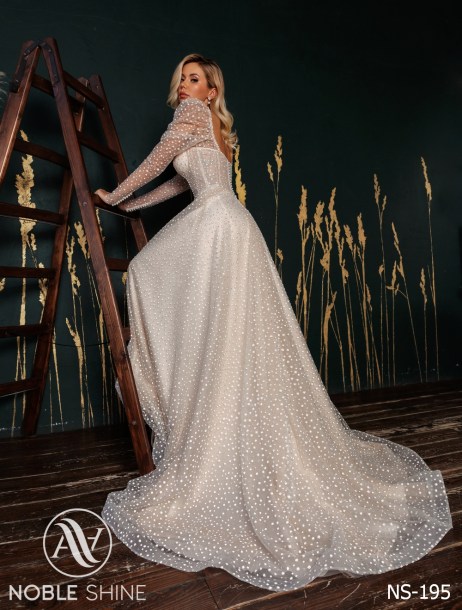 Dress NS-195 from the Felicity collection by Noble Shine