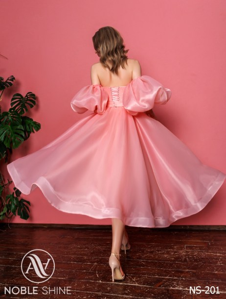 Dress NS-201 from the Felicity collection by Noble Shine