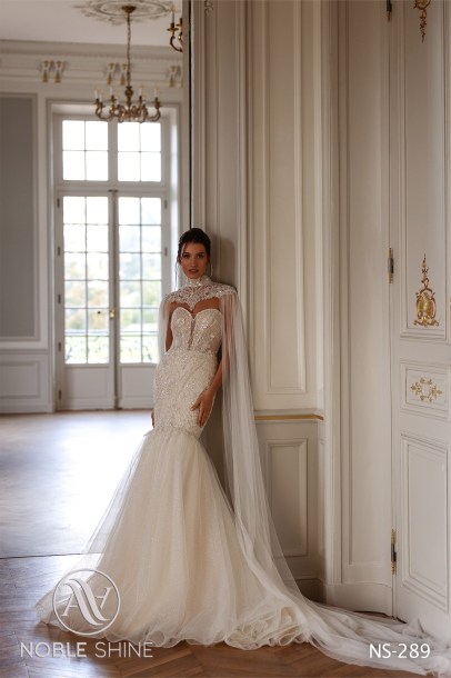 Dress NS-289 from the Jadore collection by Noble Shine