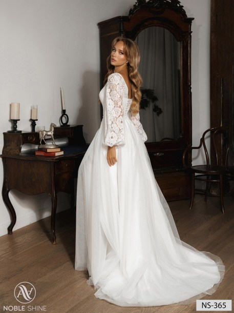 Wedding dress NS-365 from the Nova Fenix collection by Noble Shine