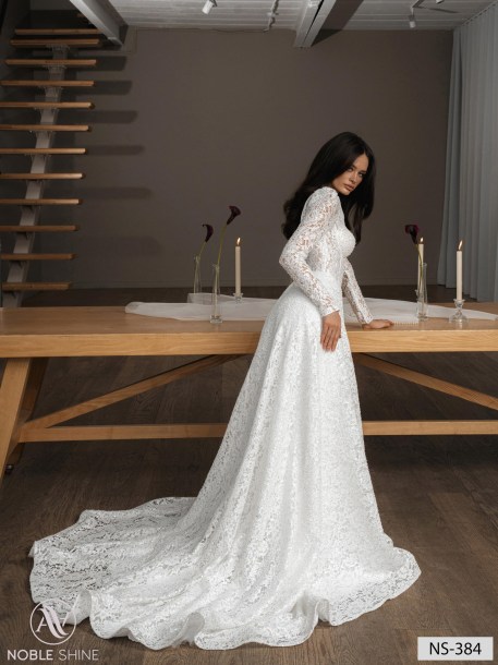Wedding dress NS-384 from the Nova Fenix collection by Noble Shine